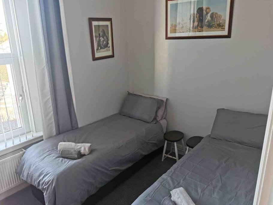 Number 7 Torquay Stunning Sea Views Leilighet Eksteriør bilde